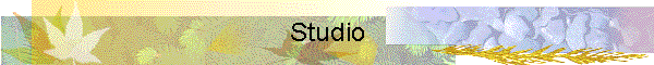 Studio